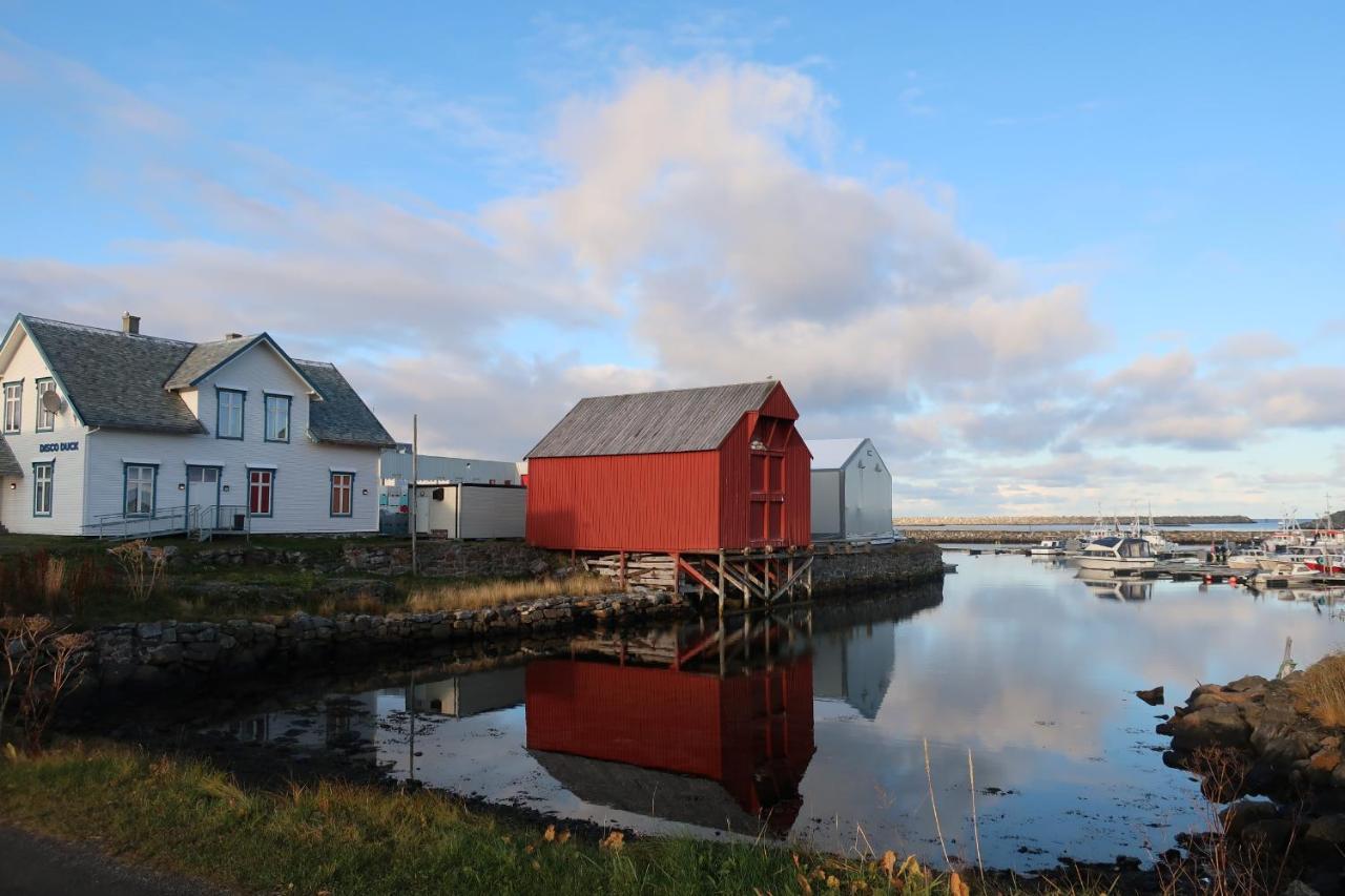 Fredheimbrygga Apartment Andenes Bagian luar foto